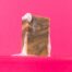 Seaweed Soap Bar
